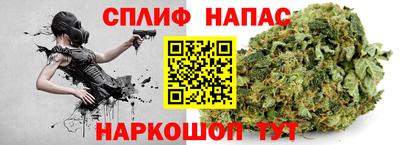 ешки Новозыбков